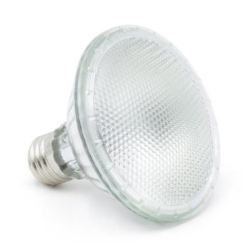 Terra Exotica Halogen Sunspot - Halogen Spotstrahler - 35 Watt